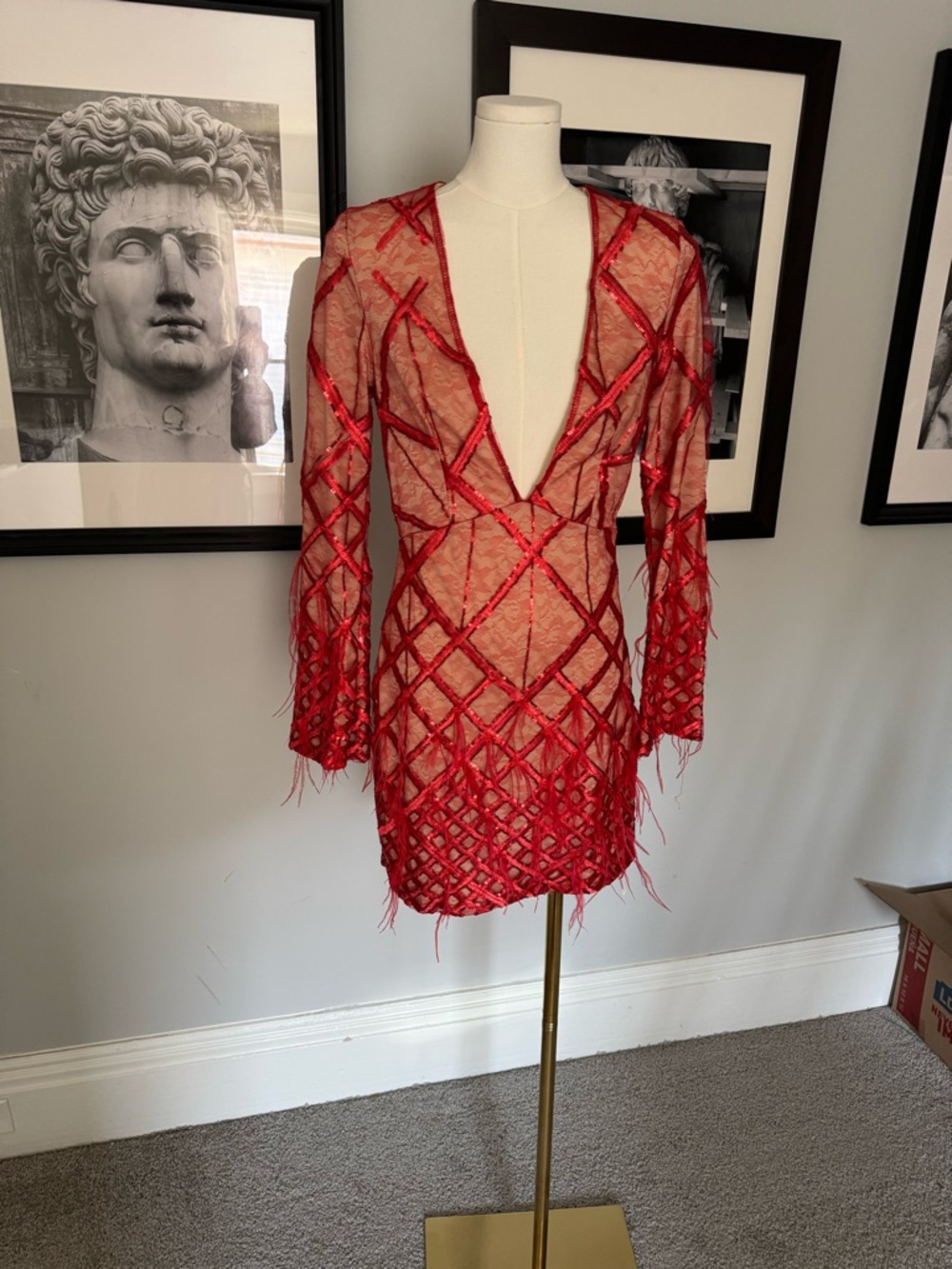 Red Deep V Sheer Lace Mini Dress